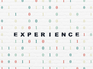 Business concept: Experience on wall background