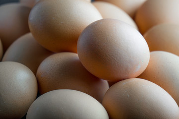 Many eggs on black background for advertisement