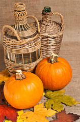 Autumn Oktoberfest display of ripe, local pumpkins, dried maple leaves and french wine jugs 