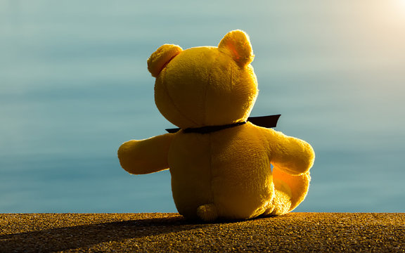 Yellow Bear Are Alone On The Lake