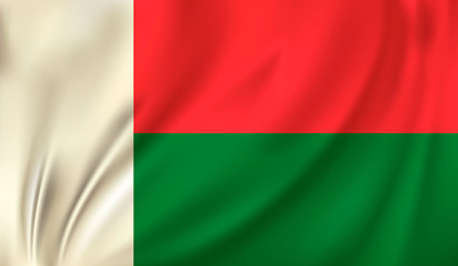 waving flag Madagascar