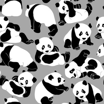 Seamless pattern with black and white asian bear (panda) on a gray background. Vector illustration.