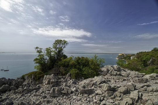 Duino