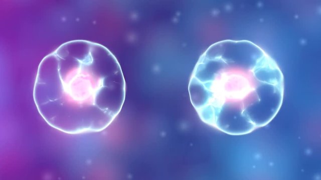 mitosis cell division process