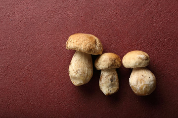 Wild Mushrooms on red background