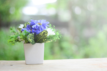 a white vase with blue flowers  on wooden table  with white light in morning