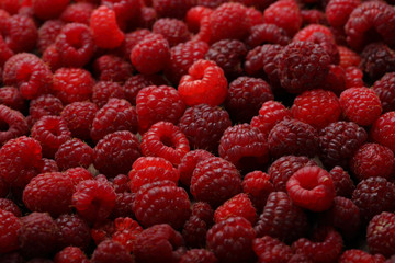 Red raspbrry berry background