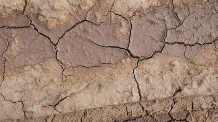 The texture of dry, cracked earth. Brown