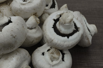 Landsacape view of a small pile of  mushroooms with copy space around the edges