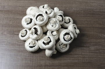 Landsacape view of a small pile of  mushroooms with copy space around the edges