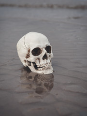 Human skull on the sand. Halloween background