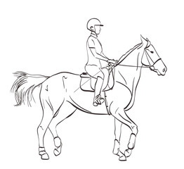 Fototapeta na wymiar horse riding illustration. line art drawing on white. equine sports theme vector