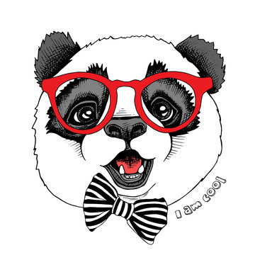 Panda child portrait in a red glasses with tie. Vector illustration.