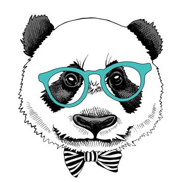 Panda portrait in a glasses with tie. Vector illustration.