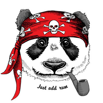 Panda portrait in a red pirate's bandana with tobacco pipe. Vector illustration.
