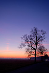 Obraz na płótnie Canvas Baum im Sonnenuntergang