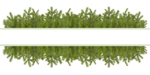 Pine branches christmas decoration isolated with space for your text