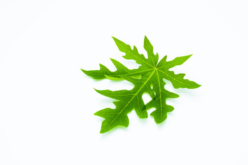 green papaya leaves isolated on white background
