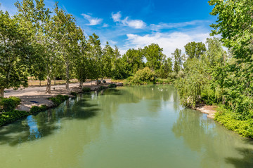 Fototapeta na wymiar View of Tejo River in the Garden of the Prince, Cultural Landscape of Aranjuez, Madrid, Spain.