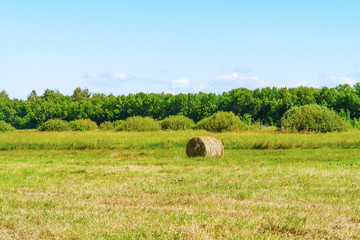 Round straw bale in a meadow. Countryside landscape