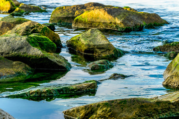 stones on coast at sea, Baltic Sea, Rostock Germany
