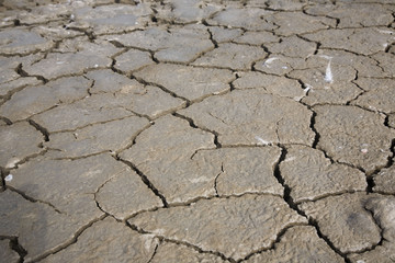Suelo agrietado
