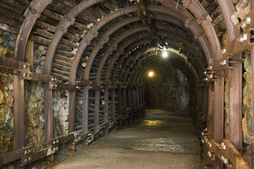 Fototapeta na wymiar Tunel tren de madera