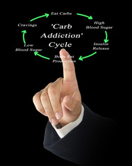  'Carb Addiction' Cycle
