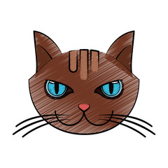 cat face icon image vector illustration design 