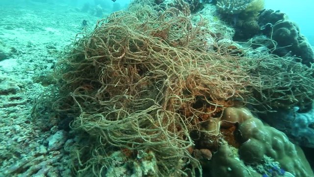 Piece of old fishing net tangled around coral head on ocean floor at Derawan Island, Kalimantan 