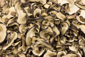 Detailed photos of dried mushrooms and boletus