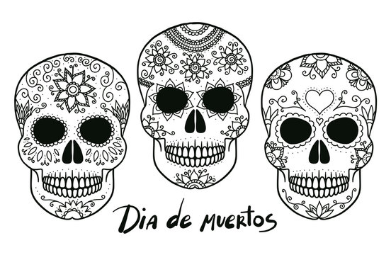 Hand drawn vector black and white outline day of the dead skulls, good for coloring