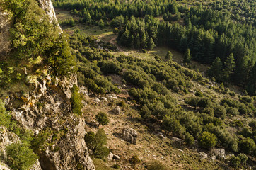 Sardegna, Orgosolo, veduta della foresta di Montes