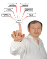 Causes of Insulin Resistance