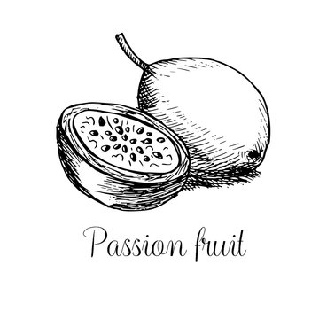 Hand drawn passion fruit