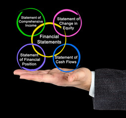  Financial Statements