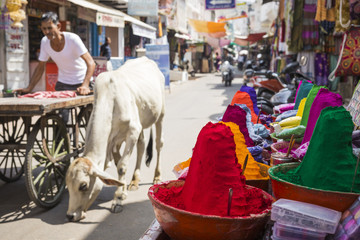 Colorful tika powders on indian market, India , Asia