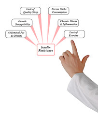 Causes of Insulin Resistance