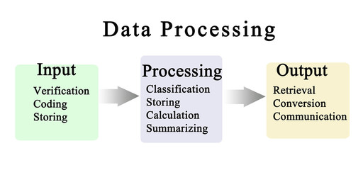 Data Processing Cycle.