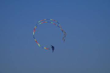 A pair of kites flying through the empty sky
