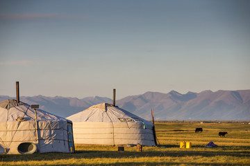 mongolian family gers in a landscape of northern Mongolia