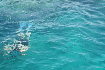 Fototapeta premium snorkeling