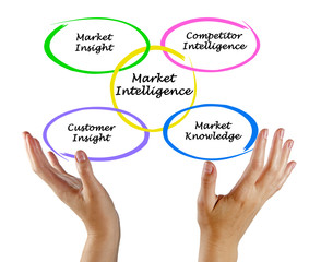 Market Intelligence