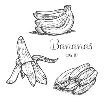 Hand drawn bananas
