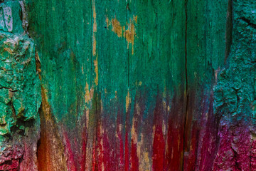 Green-red woody background. Test of wood with bark. Two-colored wooden background. Horizontally divided background.