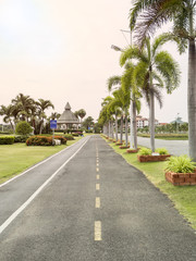 The way empty in the park with tree for exercise and relax