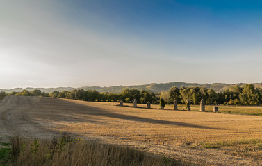 Resti Romani, Acqui terme