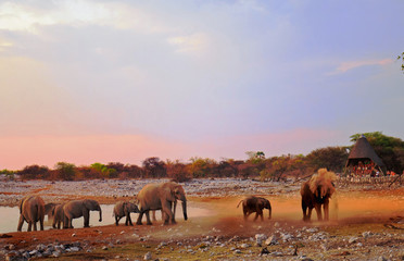 Naklejka premium Okaukeujo waterhole at dusk with elephants coming to take a drink, Namibia