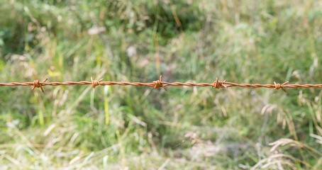 Rostiger Stacheldraht an einer Kuhweide, Österreich