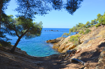Fototapeta na wymiar Calanques in the south of France